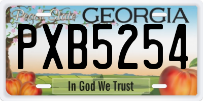 GA license plate PXB5254