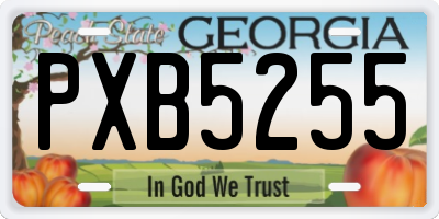 GA license plate PXB5255
