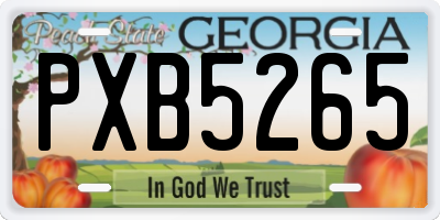 GA license plate PXB5265