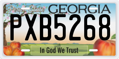 GA license plate PXB5268