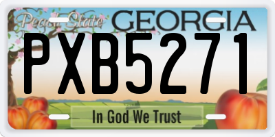 GA license plate PXB5271