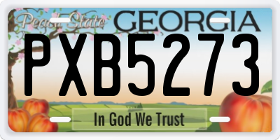 GA license plate PXB5273