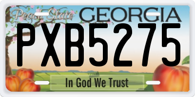 GA license plate PXB5275
