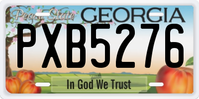 GA license plate PXB5276