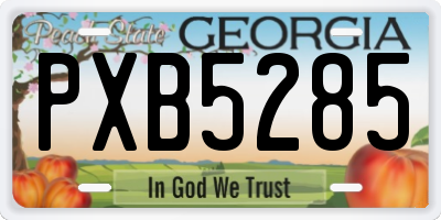 GA license plate PXB5285
