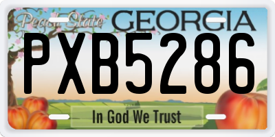 GA license plate PXB5286