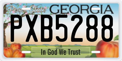 GA license plate PXB5288