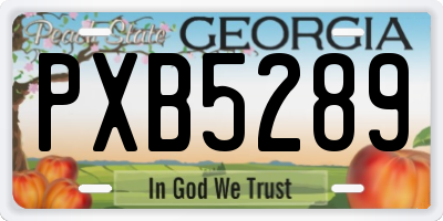GA license plate PXB5289