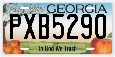 GA license plate PXB5290