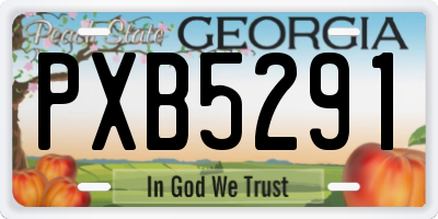 GA license plate PXB5291