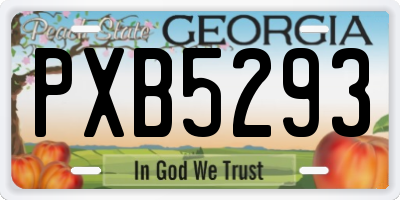 GA license plate PXB5293