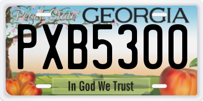 GA license plate PXB5300