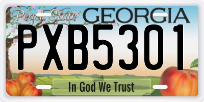 GA license plate PXB5301