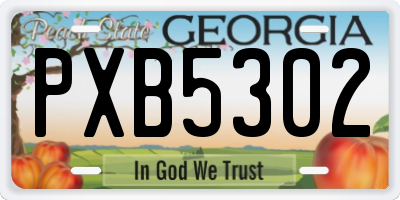 GA license plate PXB5302