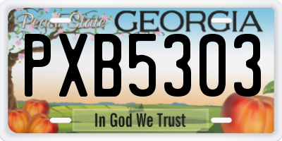 GA license plate PXB5303