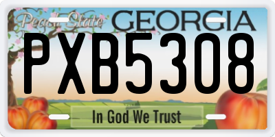 GA license plate PXB5308