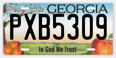 GA license plate PXB5309