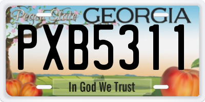 GA license plate PXB5311