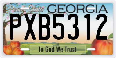 GA license plate PXB5312