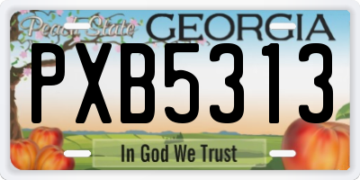 GA license plate PXB5313