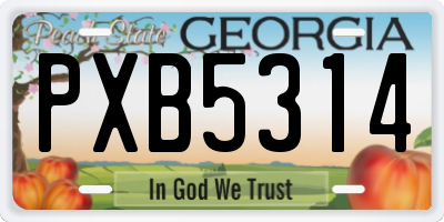 GA license plate PXB5314