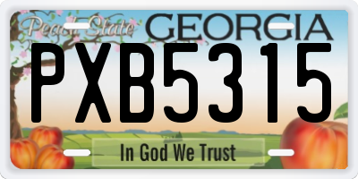 GA license plate PXB5315
