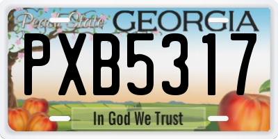 GA license plate PXB5317