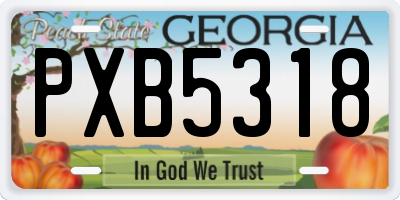 GA license plate PXB5318