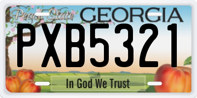GA license plate PXB5321