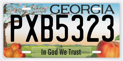 GA license plate PXB5323
