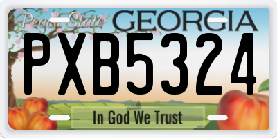 GA license plate PXB5324