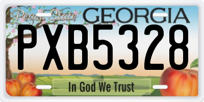 GA license plate PXB5328