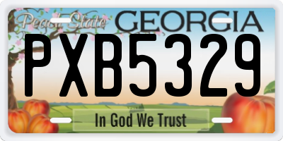 GA license plate PXB5329