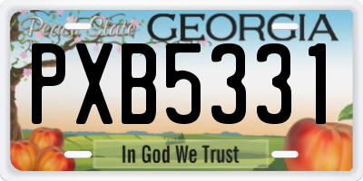 GA license plate PXB5331