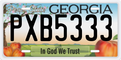 GA license plate PXB5333