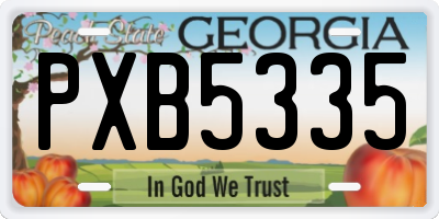 GA license plate PXB5335