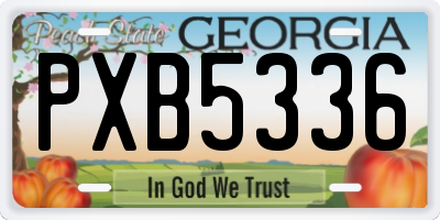 GA license plate PXB5336