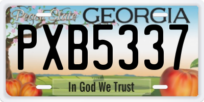 GA license plate PXB5337