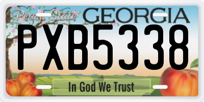GA license plate PXB5338