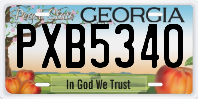 GA license plate PXB5340