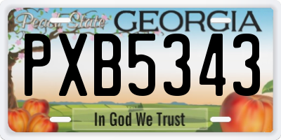 GA license plate PXB5343