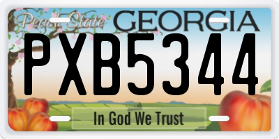 GA license plate PXB5344