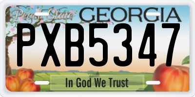 GA license plate PXB5347