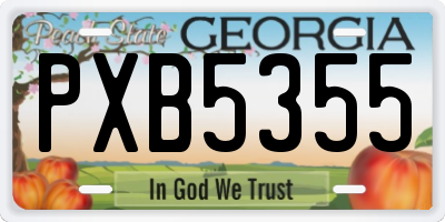 GA license plate PXB5355