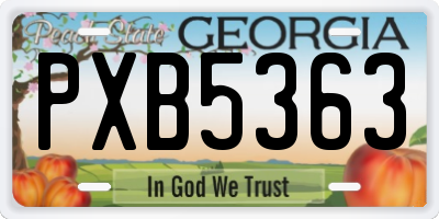 GA license plate PXB5363