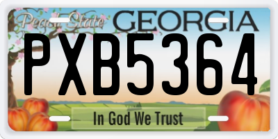 GA license plate PXB5364