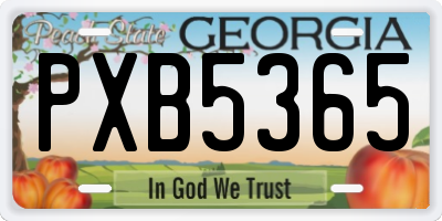 GA license plate PXB5365