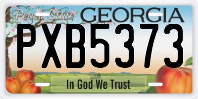 GA license plate PXB5373