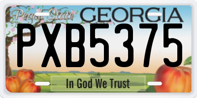 GA license plate PXB5375