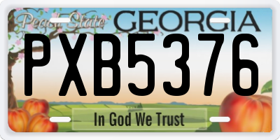 GA license plate PXB5376